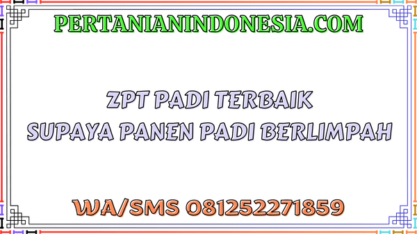 ZPT Padi Terbaik Supaya Panen Padi Berlimpah